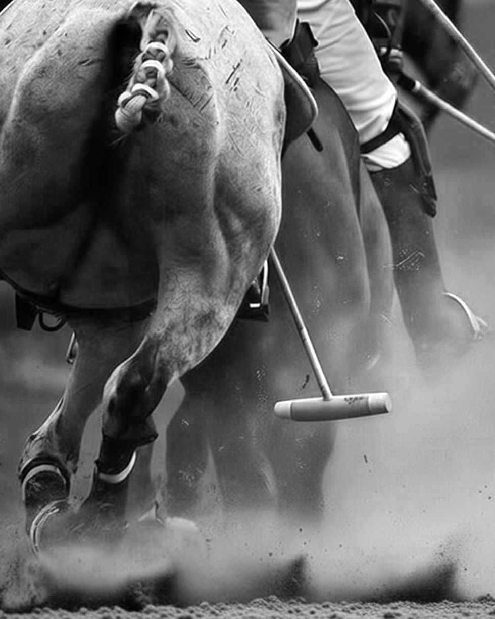 San Acasio Polo & Equestrian Ranch, es un espacio único que combina la pasión por las actividades ecuestres, deportivas, el arte y la naturaleza, con el objetivo de fortalecer los lazos familiares, construyendo una comunidad sólida basada en valores como la confianza, el respeto y la convivencia.