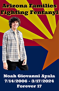 Noah Giovanni Ayala 8x11 White Letters.png