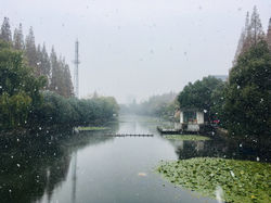 IMG_4187.jpeg