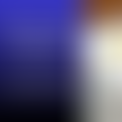 Signals from the Street: What the Industry’s Most Influential Firms Are Signaling for 2026