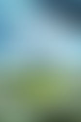 489. Peter Robinson - Gallows View