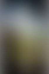 437. Peter Robinson - A Dedicated Man