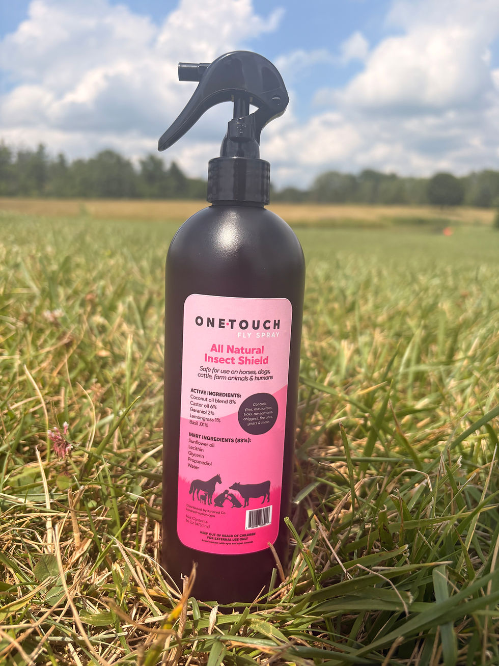 Thumbnail: OneTouch Insect Repellent - 16oz