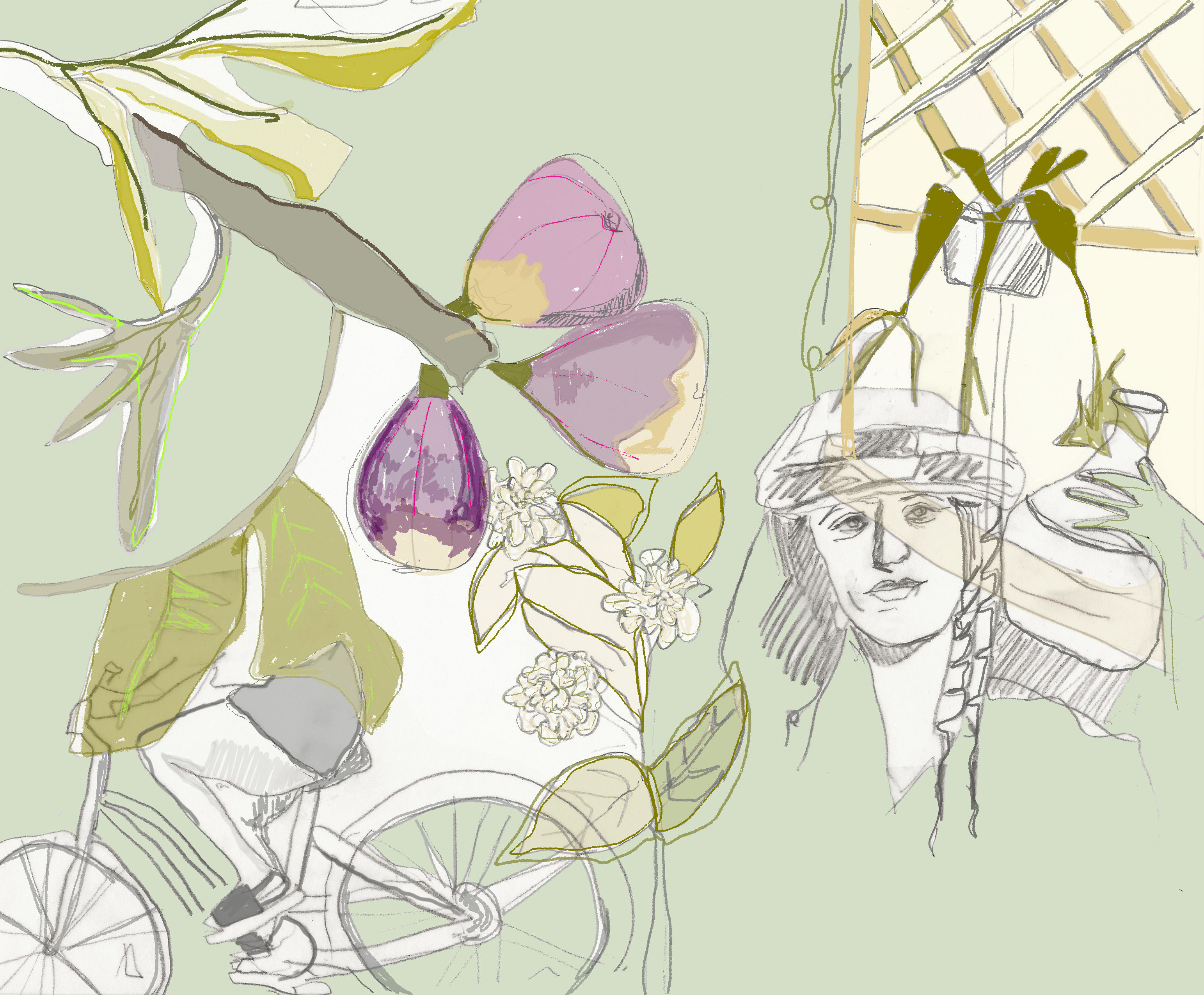The Fig Picker Print