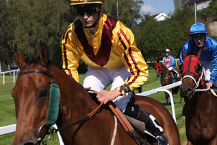 Løpsprogram for Scandic Norsk Derby hos Øvrevoll Galopp
