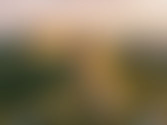 יש לכם הכל ועכשיו אפשר להתחיל לשחק