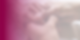 Lillies Hands of Love Website (2).png