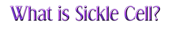A%20New%20Design%20(3)_edited.png
