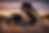 ChatGPT Image Mar 9, 2026, 10_50_58 PM.png