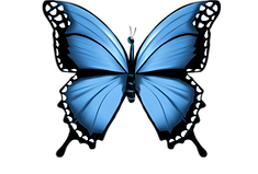 KAHM WEBSITE  (6).png