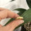 Thumbnail: Gold Wedding Band Textured With Your Own Beach Sand