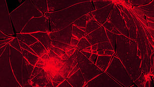 The Costs of Cuts and Chaos