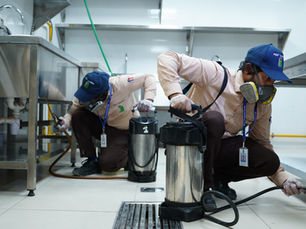 Pest Control Services in Abu Dhabi