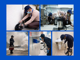 Pest Control Services in Abu Dhabi and Al Ain