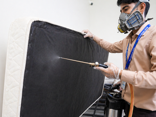 Bed Bug Control Services in Abu Dhabi