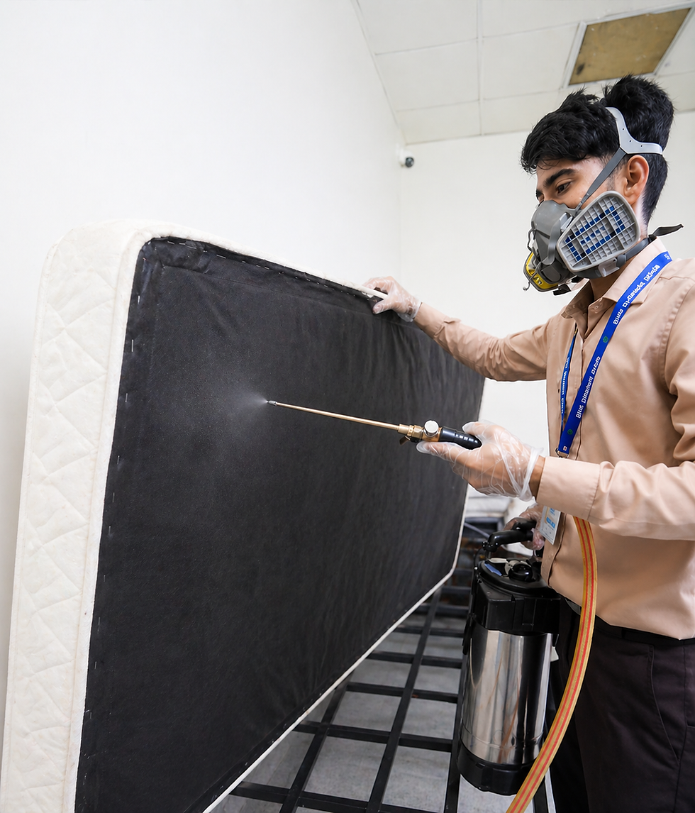 Bed Bug Control Services in Abu Dhabi