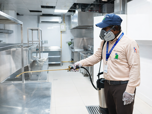 Pest Control Services in UAE