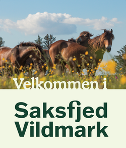 Hempel Fonden_Velkommen