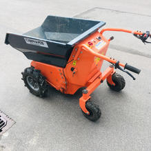 Elektrisk motorbør, Bernards