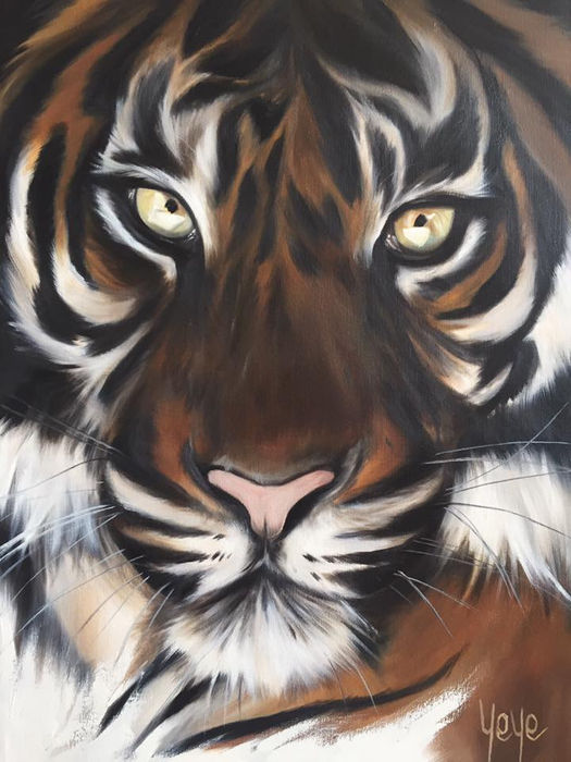 70 x 50cm