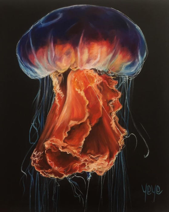 60 x 50cm