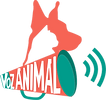 Recursos VA (1).png