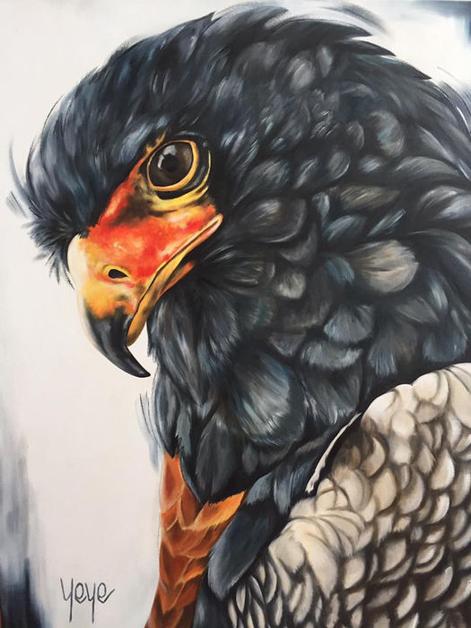 120 x 90cm