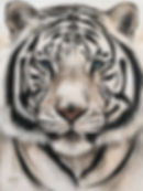 Pintura de Yeye Disponible, Tigre Blanco