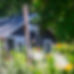 cabin.jpeg