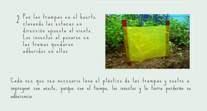 paso 9