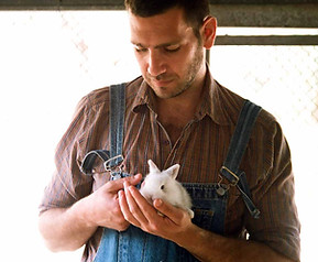 Baby Farm Bunny