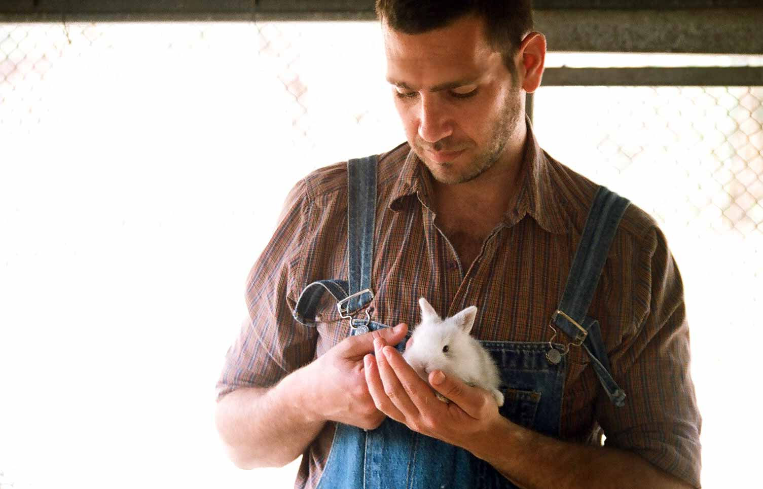 Feed an Animal monthly