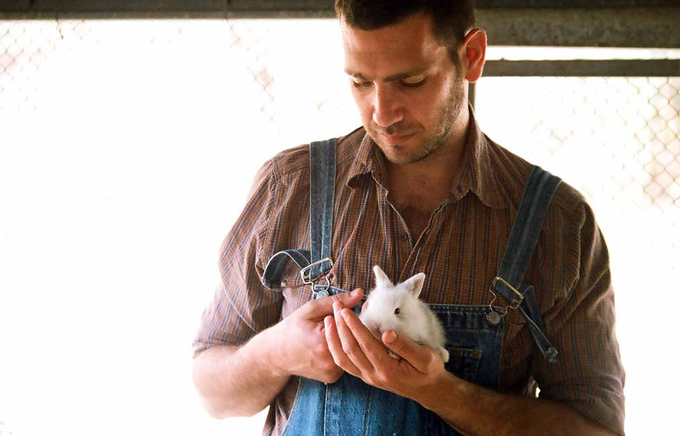 Baby Farm Bunny