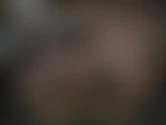 DIY vs. Professional Deck Building: Which is Right for You?