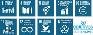 ODS da ONU 1, 4, 5, 8, 10, 11, 12, 16 e 17