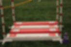 Thumbnail: AKC Broad Jump: Foam