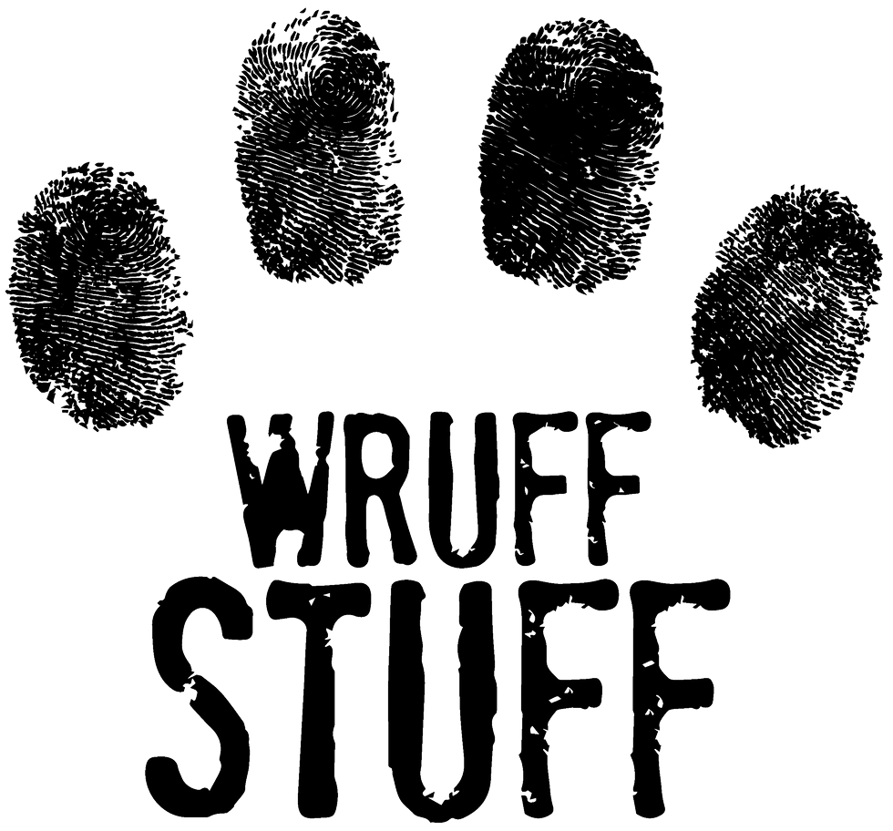 IMAGE 2021-06-17 19_12_38_edited.png