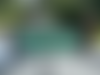 chimney cap replacement Central North Carolina home