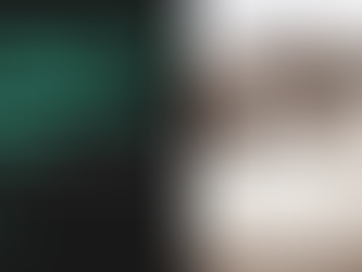 pets safety during storm nc