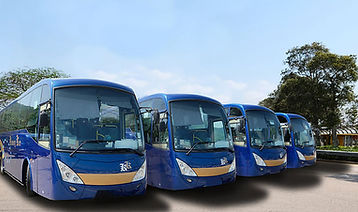 BUS.jpg