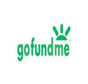 gofundme 1.png