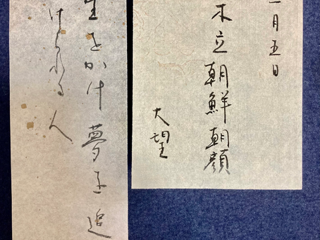 11月5日の花個紋