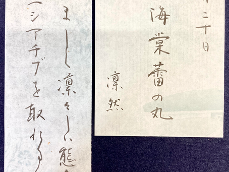 4月20日の花個紋