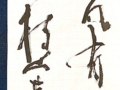 一樹春風有両般 南枝向暖北枝寒