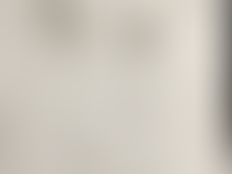 物事に動じない