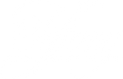 logo bianco.png