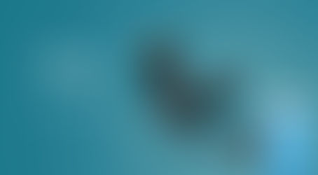 Test du Kit Main Libre Bluetooth       Parrot Mini Kit Neo 2 HD