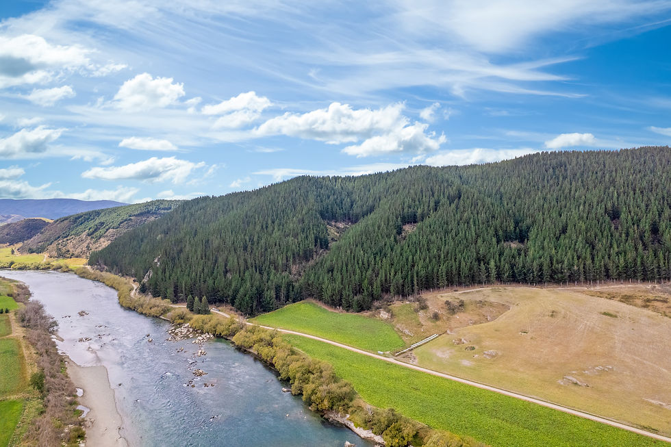 Aerial drone photograph of a river flowing beside pine forests and farmland in Beaumont, NZ