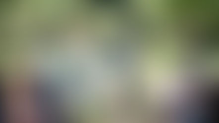 Insane bride in green slippers and groom exchange vows under a floral arch in a forest setting, guests seated nearby.