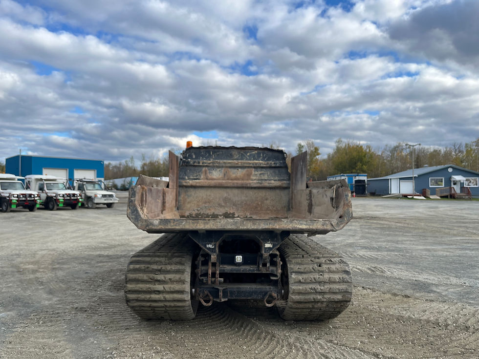 Miniature : Prinoth Panther T8 2020